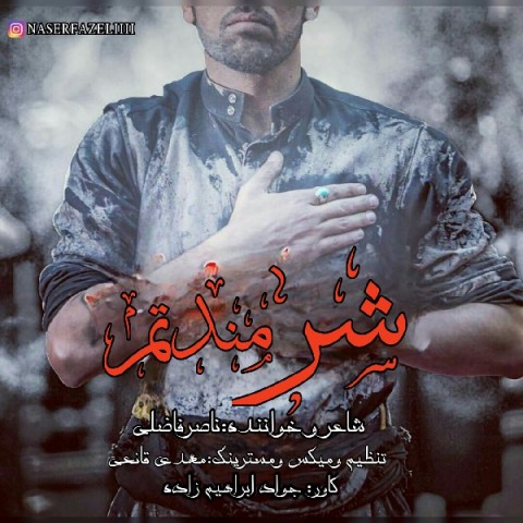 ناصر فاضلی شرمندتم